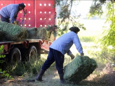 Neuquén anunció mejoras en las líneas de crédito para agricultura familiar