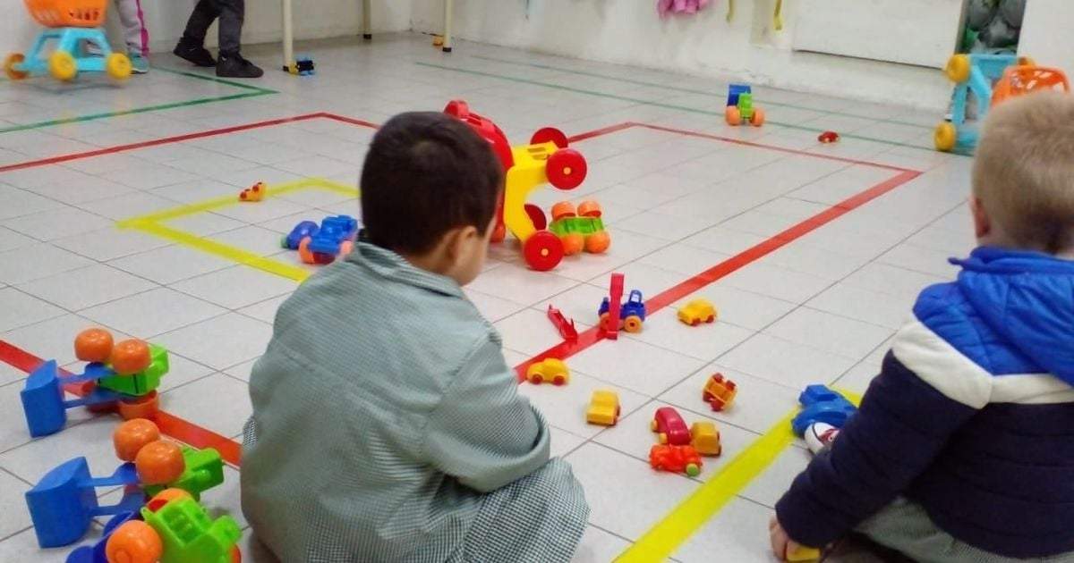 La ordenanza establece la creación de un registro que se abrirá cada mes de noviembre. Fuente: (Twitter)