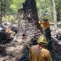 Brigadistas extinguieron un foco de incendio detectado sobre el sendero de Ruca Choroy y Ñorquinco