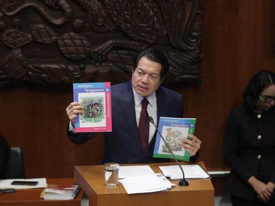 “Los niños que no nacen no van a la escuela”: Mario Delgado durante su comparecencia en el Senado