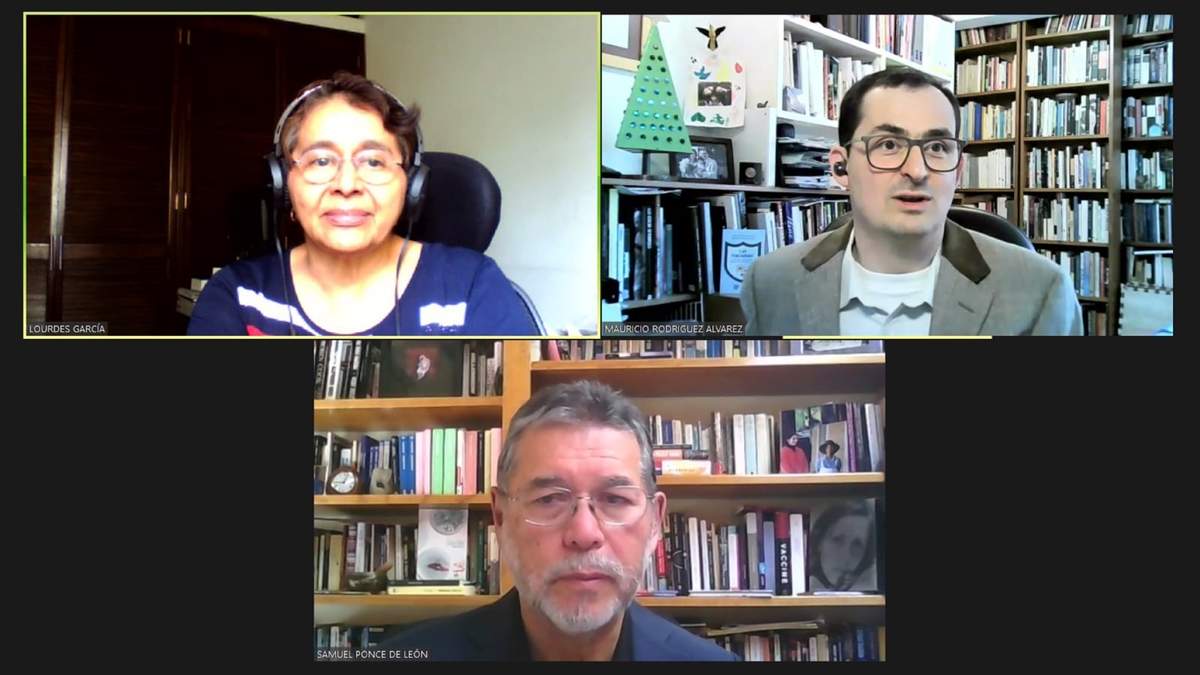 Los especialistas en la videoconferencia