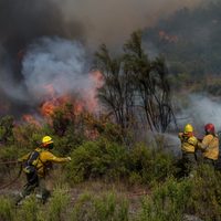 Un incendio en Cinco Saltos dejó sin luz a la villa del lago Pellegrini