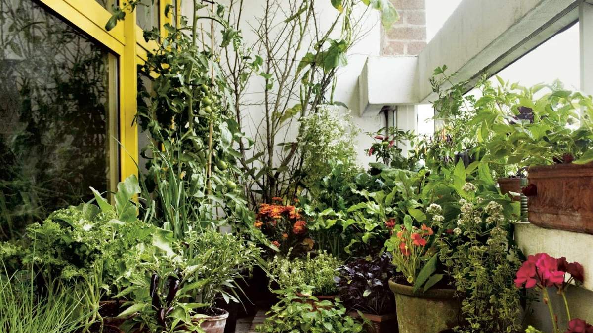 Huerta urbana. Fuente: (Instagram)