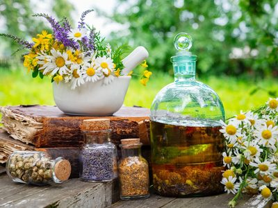 Las plantas que tenés que tener en tu jardín para hacer un botiquín natural de primeros auxilios