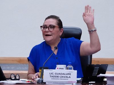 El INE asignará pluris por partido y no por coalición: Taddei