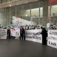 Pilotos y sobrecargos de Aeromar protestan en el AICM y exigen pago de salarios