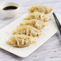 Gyozas con masa casera y en pocos minutos: la receta más fácil para disfrutar una cena con toque gourmet