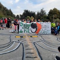 Tensión en Villa La Angostura: gendarmería intervino en la protesta de Salud