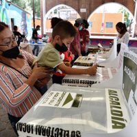 Morena se queda con dos diputaciones que había ganado Va por México