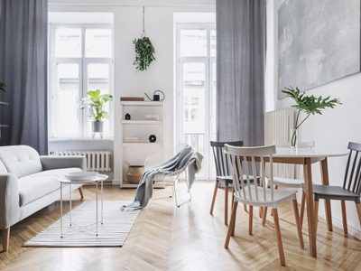 La planta que todos quieren tener y que lleva la deco de tu living a otro nivel