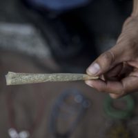 MUCD pide a la SCJN no perpetuar cárcel a usuarios de cannabis