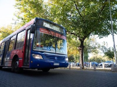 Cambia el recorrido de varias líneas de colectivos por el corte en calle Alberdi