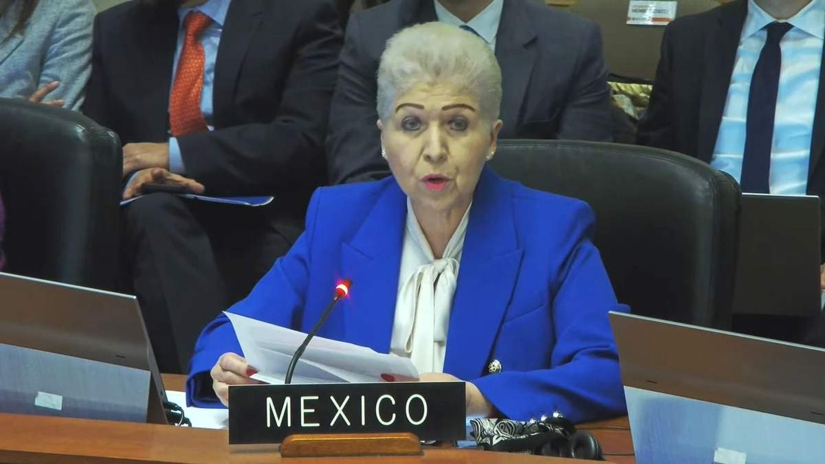 Luz Elena Baños Rivas, representante de México ante la OEA