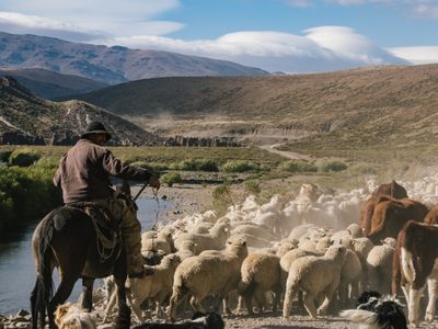 La Legislatura aprobó el proyecto que establece el Día Provincial de la Trashumancia