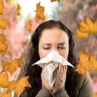Cómo evitar las alergias de otoño: anotá estos trucos de limpieza que sí funcionan