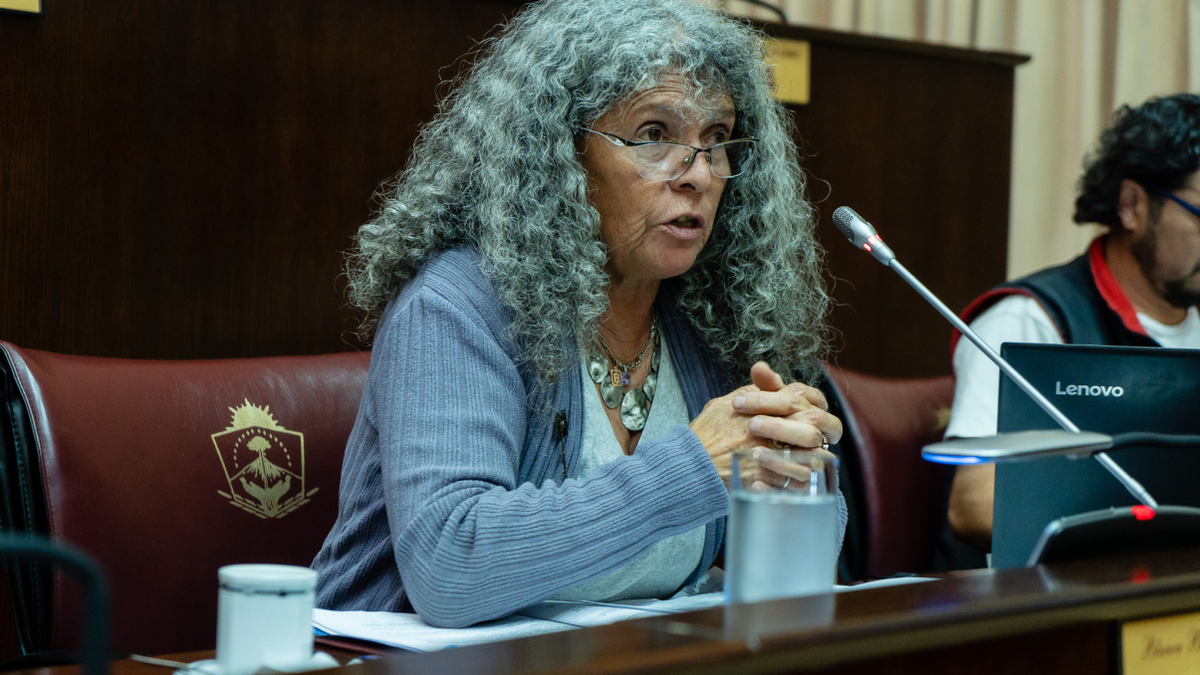 Quieren conocer el avance del proyecto geotérmico Domuyo. Fuentes: (Legislatura)