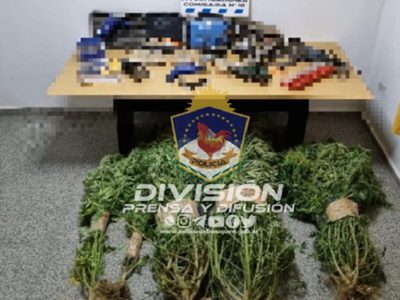 En varios allanamientos secuestraron armas de fuego, herramientas y plantas de marihuana