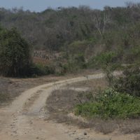 Los "terrenos de la muerte", entre tres playas concurridas por el turismo veracruzano