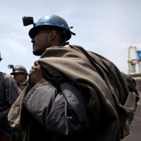 Fideicomisos: 'Incertidumbre” sobre el destino de los recursos