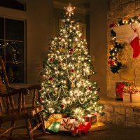 Cuánto se debe gastar para armar el arbolito de Navidad en Argentina