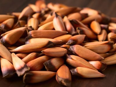 Estas son las delicias de Neuquén más requeridas en las ferias de gastronomía