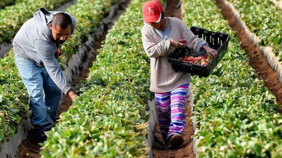 Productores agroecológico. Fuente: (Facebook)