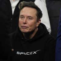 Elon Musk admite que le escribió a Epstein, pero niega haber participado en sus fiestas