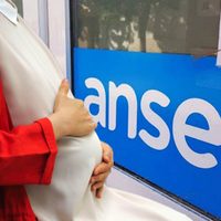 ANSES: este es el calendario completo de la AUE para febrero