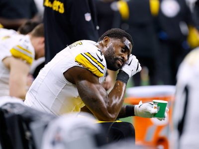 Entrenador de Steelers dice que apoya al receptor suspendido Metcalf tras altercado con fan