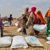Alerta de la ONU: sin lluvias ni dinero, 20 millones de africanos están en riesgo de hambruna
