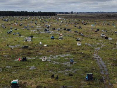 Ordenan el desalojo la toma de tierras más grandes del país