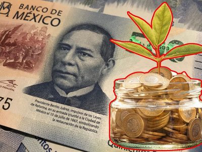 Cómo ahorrar energía en casa según la Profeco para reducir tu recibo de CFE