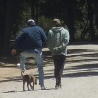 Parque Nacional Nahuel Huapi: denunciaron agresiones de residentes al intentar ingresar con mascotas