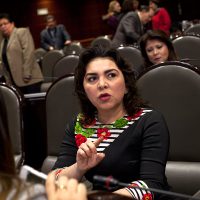 Ivonne Ortega acusa al PRI de 'simular” proceso de selección del candidato