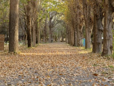 Clima en Neuquén: martes con cielo despejado y temperaturas en aumento en toda la provincia