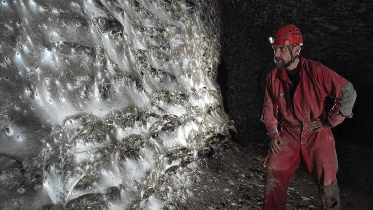 The colonial spider web in Sulfur Cave, is home to a mixed colony of Tegenaria domestica and Prinerigone vagans.
