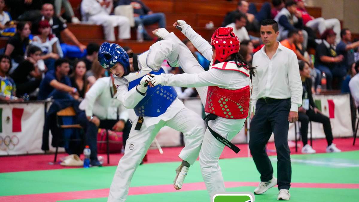 Asociación Estatal de Taekwondo del Estado de México