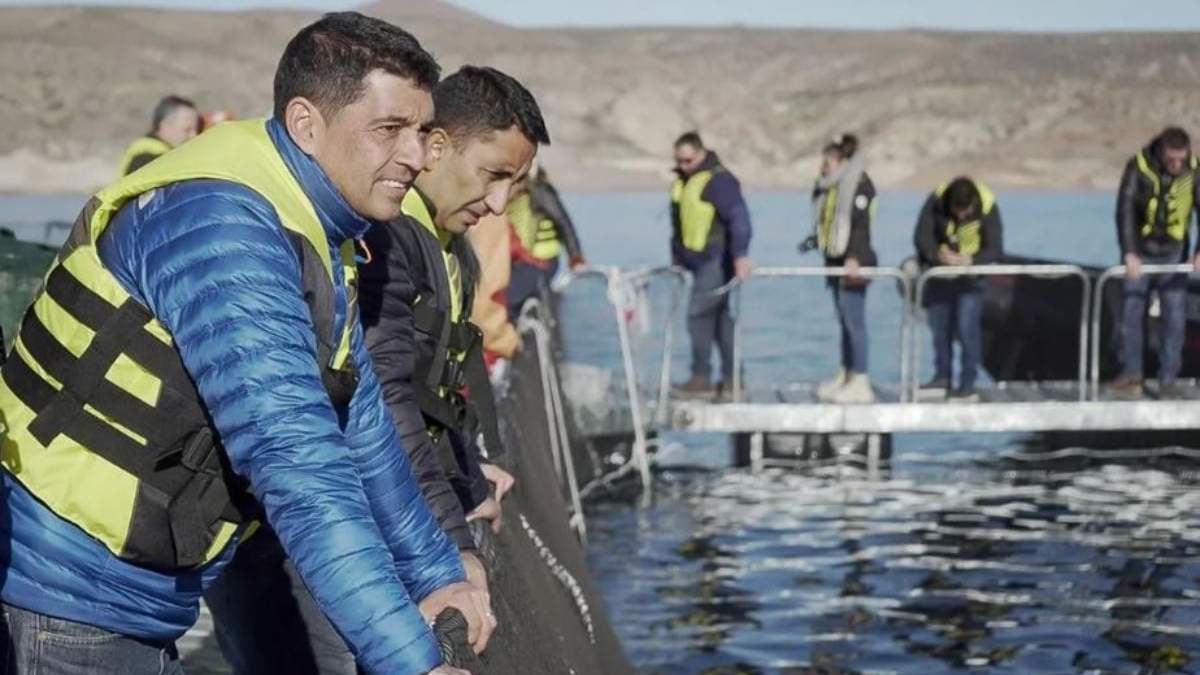Marcos Koopmann en la planta de procesamiento de pescado de Piedra del Águila. Fuente: (Twitter)