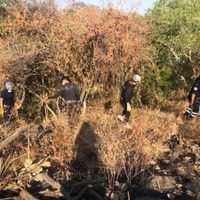 La ONU-DH urge aclarar asesinato de funcionario de Comisión de Búsqueda en México