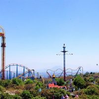 Six Flags halla solución y promete no derribar un solo árbol para construir un nuevo “Roller Coaster