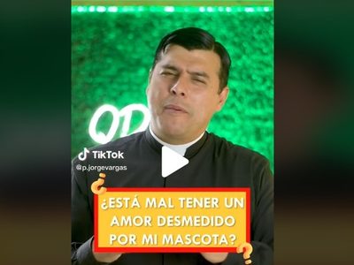 “Un animal no vale más que un humano”: sacerdote sobre amor a las mascotas (Video)