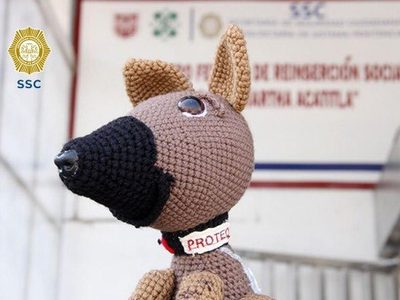 Reclusas lanzan muñeco de estambre de Proteo, el perrito rescatista que murió en Turquía