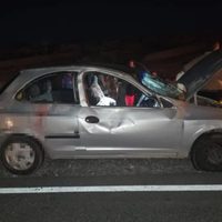 Choque en Ruta Provincial 5 cerca de Rincón de los Sauces: un auto impactó contra un caballo