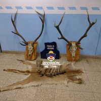 Practicaba la caza furtiva y, además, tenía pedido de captura vigente