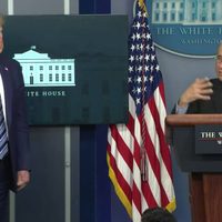 Trump tilda de "inexactas" las predicciones de Fauci sobre el coronavirus
