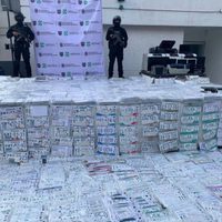Desintegran banda dedicada a fabricar placas, tarjetas de circulación, licencias y engomados apócrifos