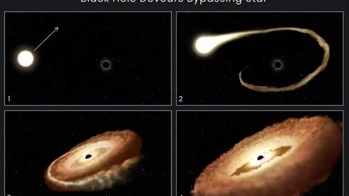Devorado