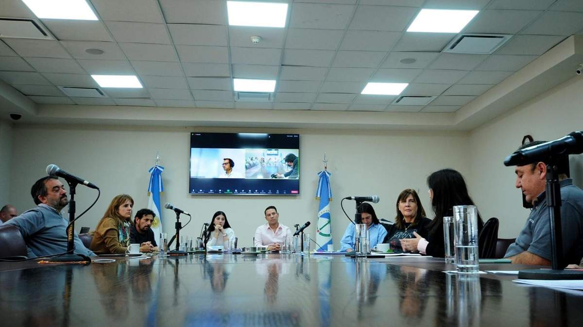 Representantes de trabajadores de Vialidad Nacional, Correo Argentino, la ANSES y Aeronáuticos, entre otros, en la sesión de la comisión de Trabajo en la Legislatura de Neuquén. Fuente: (Twitter)