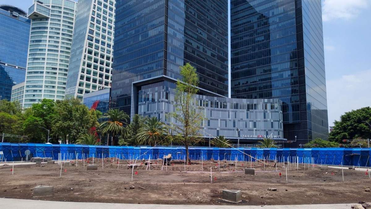 El ahuehuete en Paseo de la Reforma