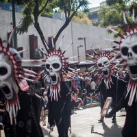 Calaveritas 2016 por 40 años de Proceso